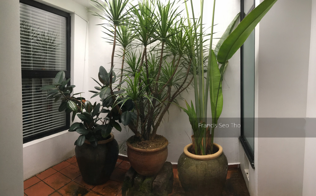 Serangoon Garden Estate (D19), Semi-Detached #148372942